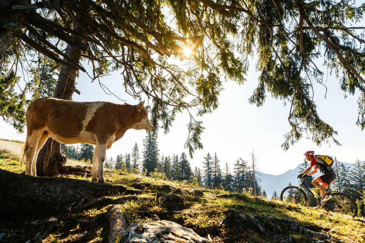 Ferienwohnung Schifterhof Ruhpolding Exterior foto